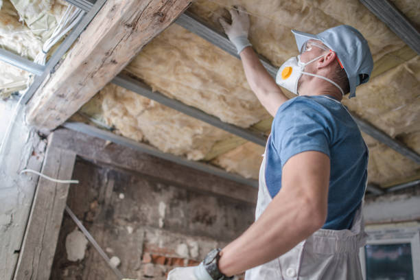 Best DIY Insulation Kits and Guidance in Hollins, VA