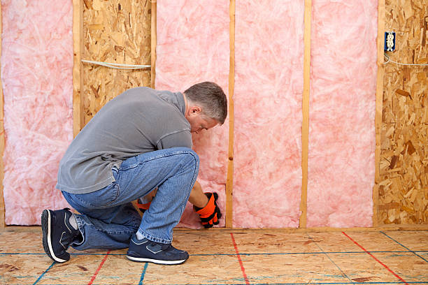 Best Blown-in Insulation in Hollins, VA