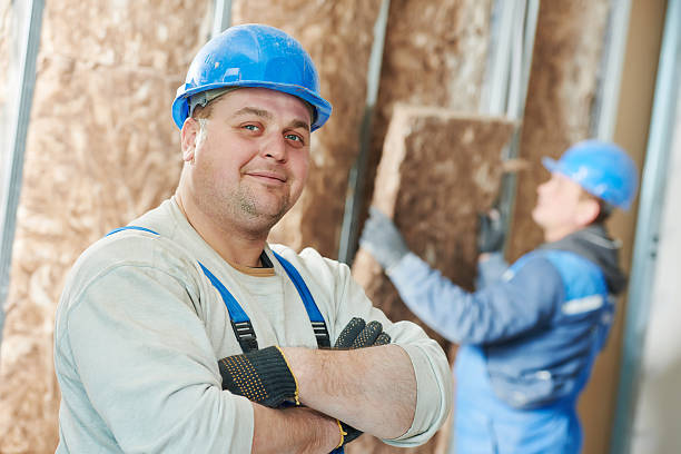 Best Eco-Friendly Insulation in Hollins, VA
